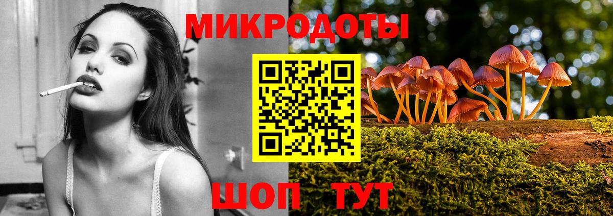 Галлюциногенные грибы Psilocybine cubensis  Галлюциногенные грибы прущие грибы  Асино  Вход с VPN 