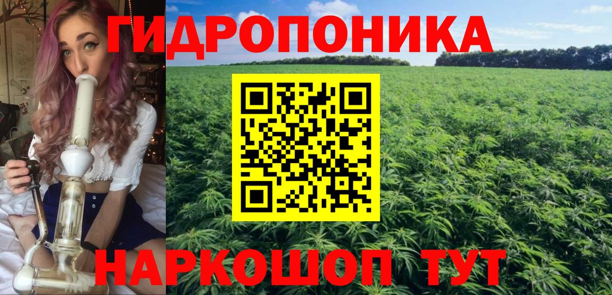 Бошки марихуана THC 21%  Бошки марихуана ГИДРОПОН  Асино  Канабис SATIVA & INDICA  Вход с VPN 